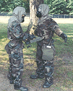 fig10s.gif (31592 bytes)