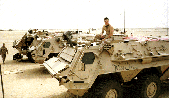 fig6.gif (190555 bytes)