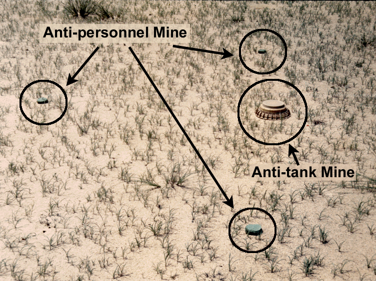 fig14.gif (370513 bytes)