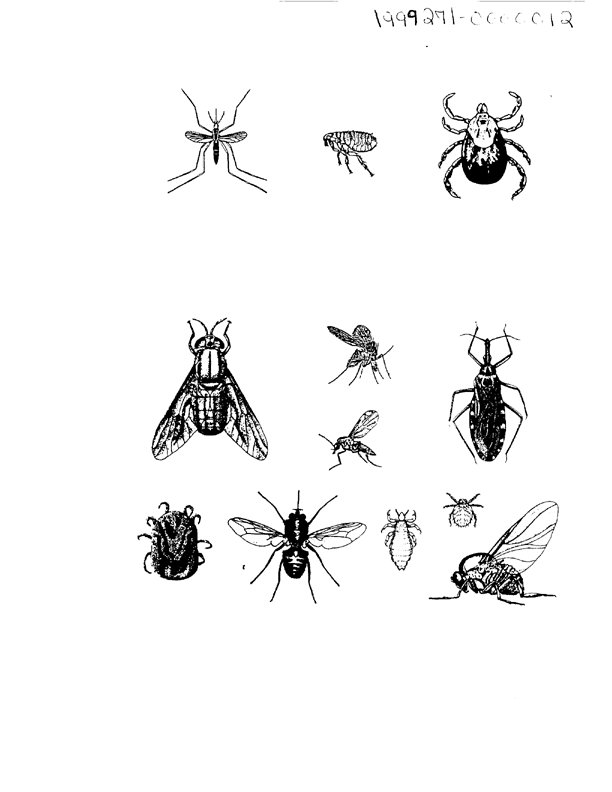   Coulston International Corporation, Label with Directions for Use for Permethrin Arthropod Repellent, Easton, PA, May 1990.