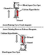fig11s.gif (6153 bytes)