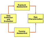 fig1s.gif (4432 bytes)